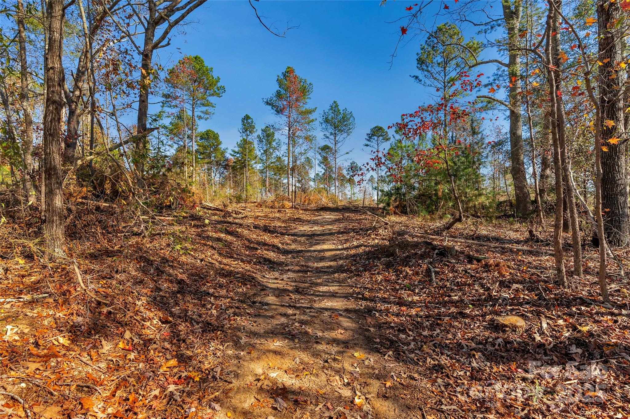 0 Tom Joye Road, Unit 2 Clover, SC 29710 - Photo 23 of 27 Gallery Image 23