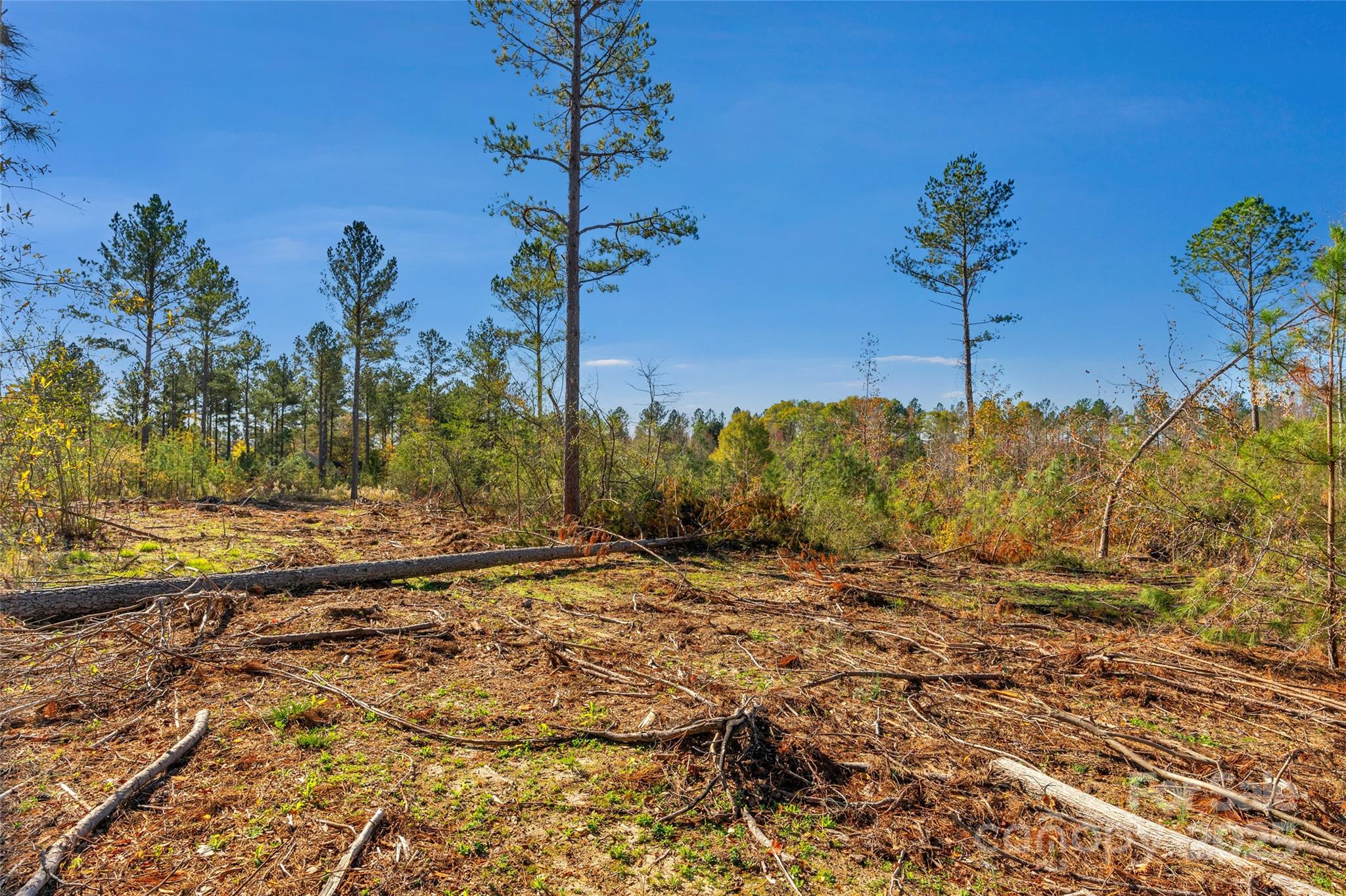 0 Tom Joye Road, Unit 2 Clover, SC 29710 - Photo 24 of 27 Gallery Image 24