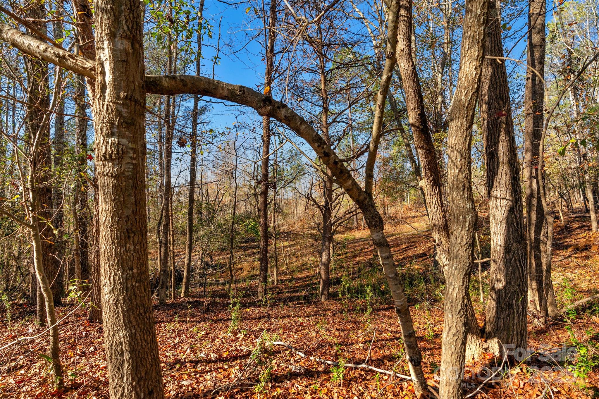 0 Tom Joye Road, Unit 2 Clover, SC 29710 - Photo 25 of 27 Gallery Image 25
