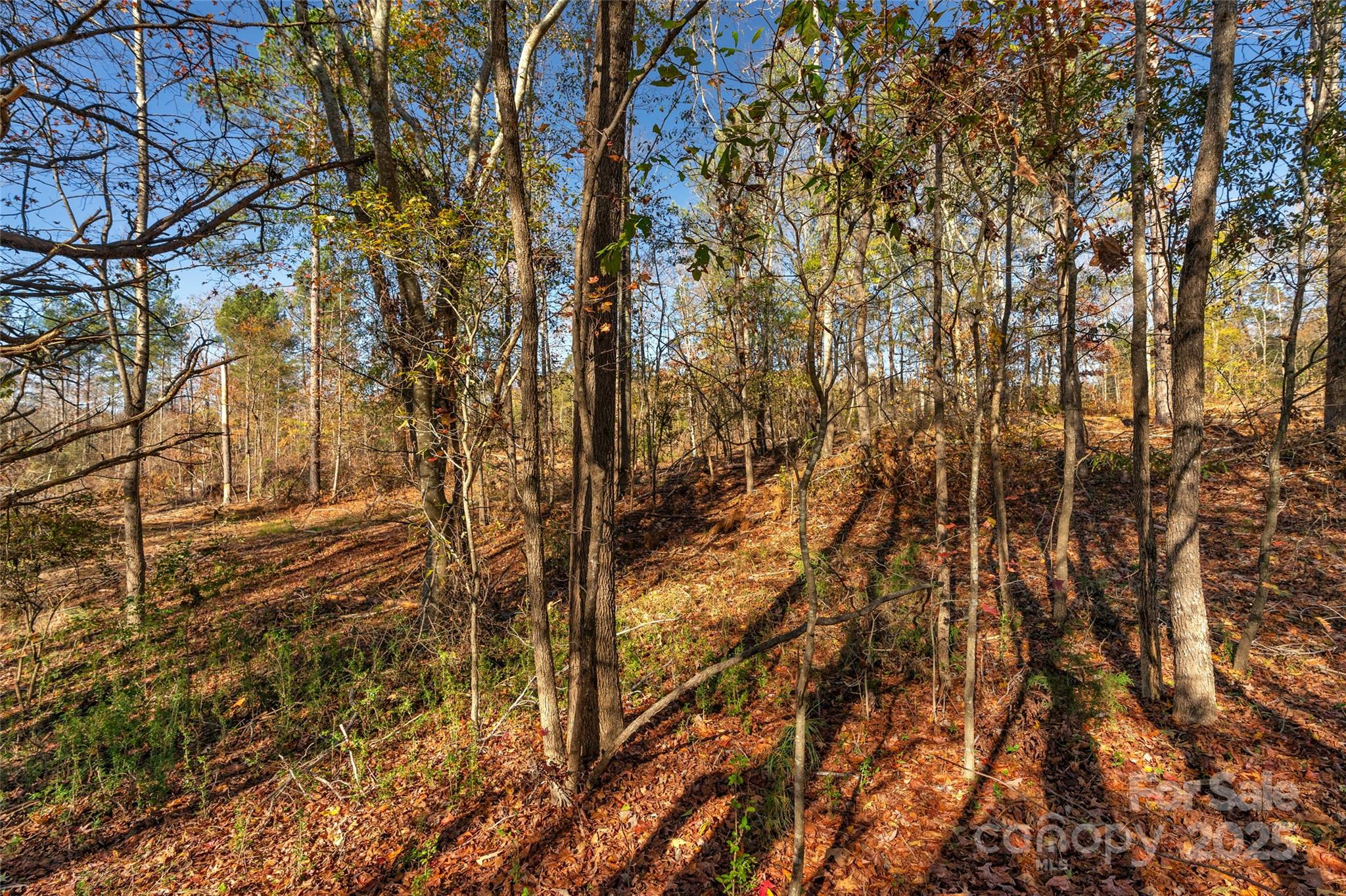 0 Tom Joye Road, Unit 2 Clover, SC 29710 - Photo 26 of 27 Gallery Image 26