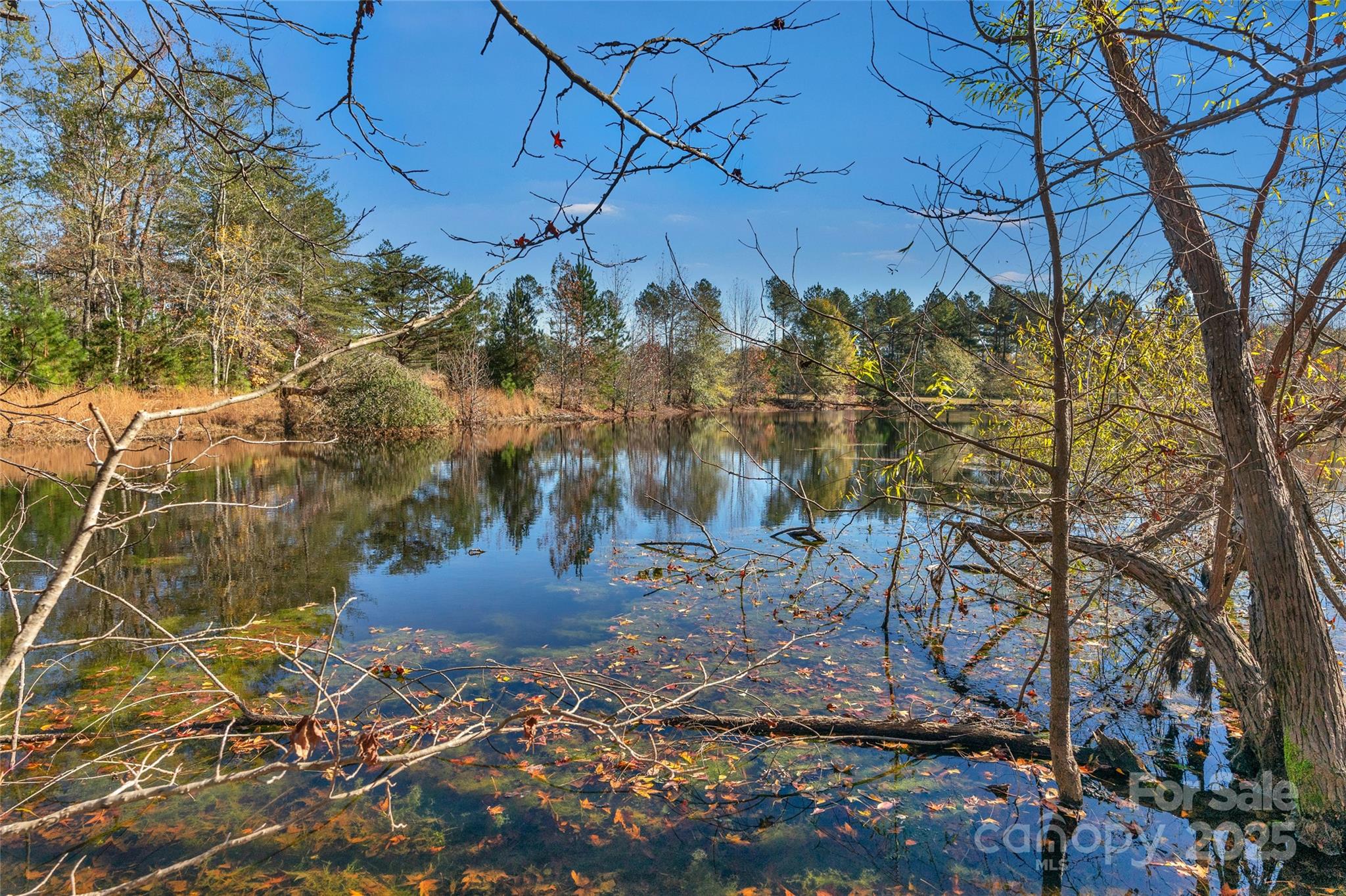 0 Tom Joye Road, Unit 2 Clover, SC 29710 - Photo 10 of 27 Gallery Image 10
