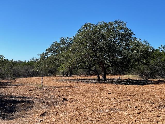 575 Yellowstone Lane Hunt, TX 78024 - Photo 3 of 8 a view of outdoor space with trees