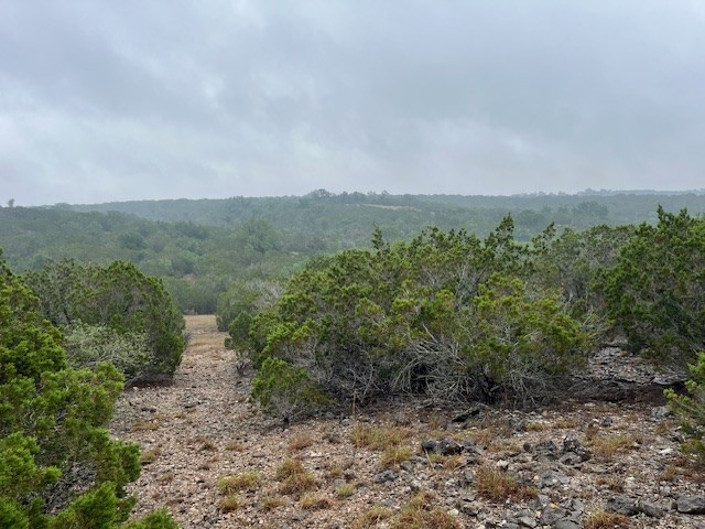 575 Yellowstone Lane Hunt, TX 78024 - Photo 5 of 8 a view of a forest with trees in the background