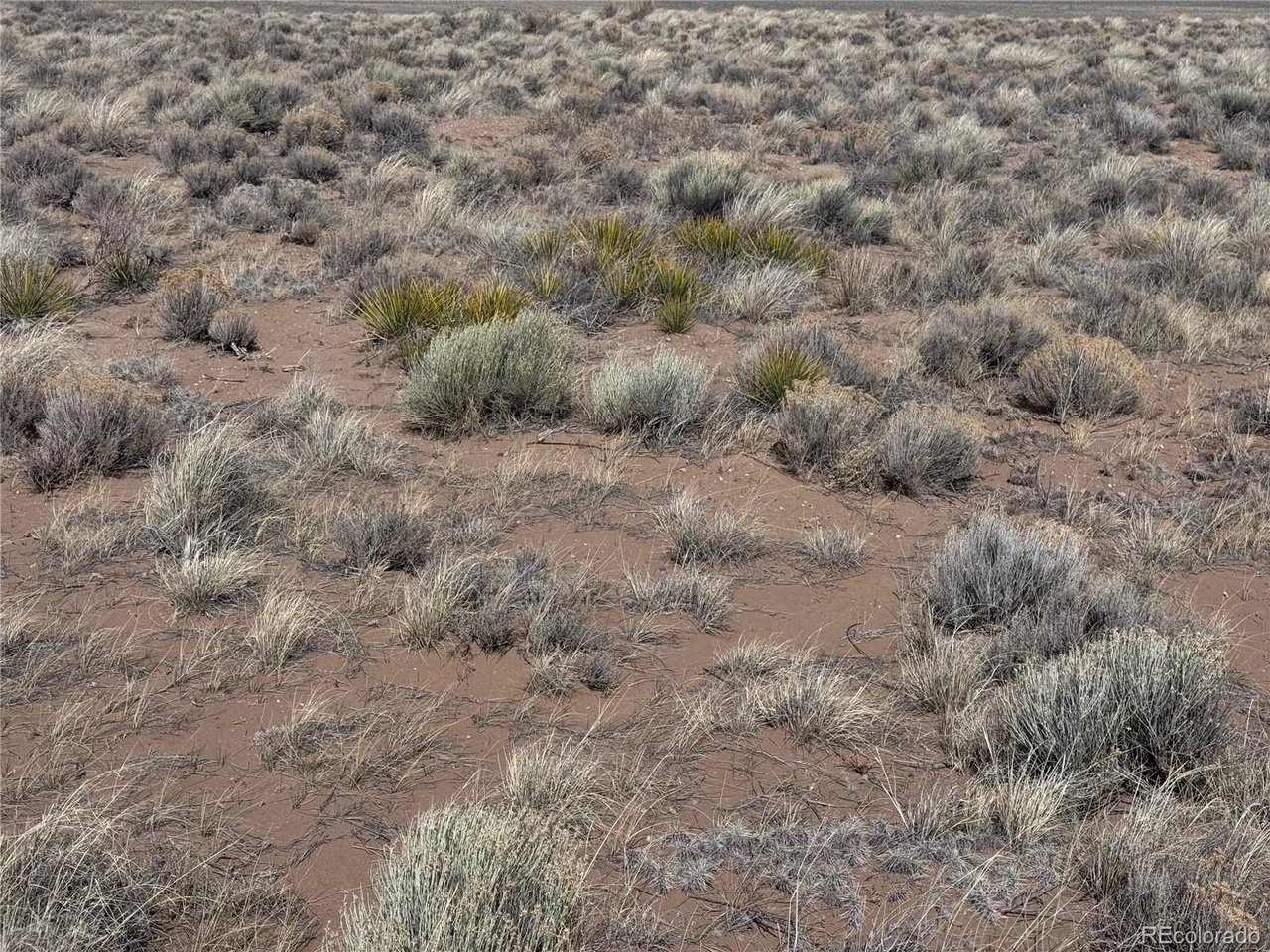 19 Ana Road Sanford, CO 81151 - Photo 2 of 10 a view of a dry yard with green space and fog