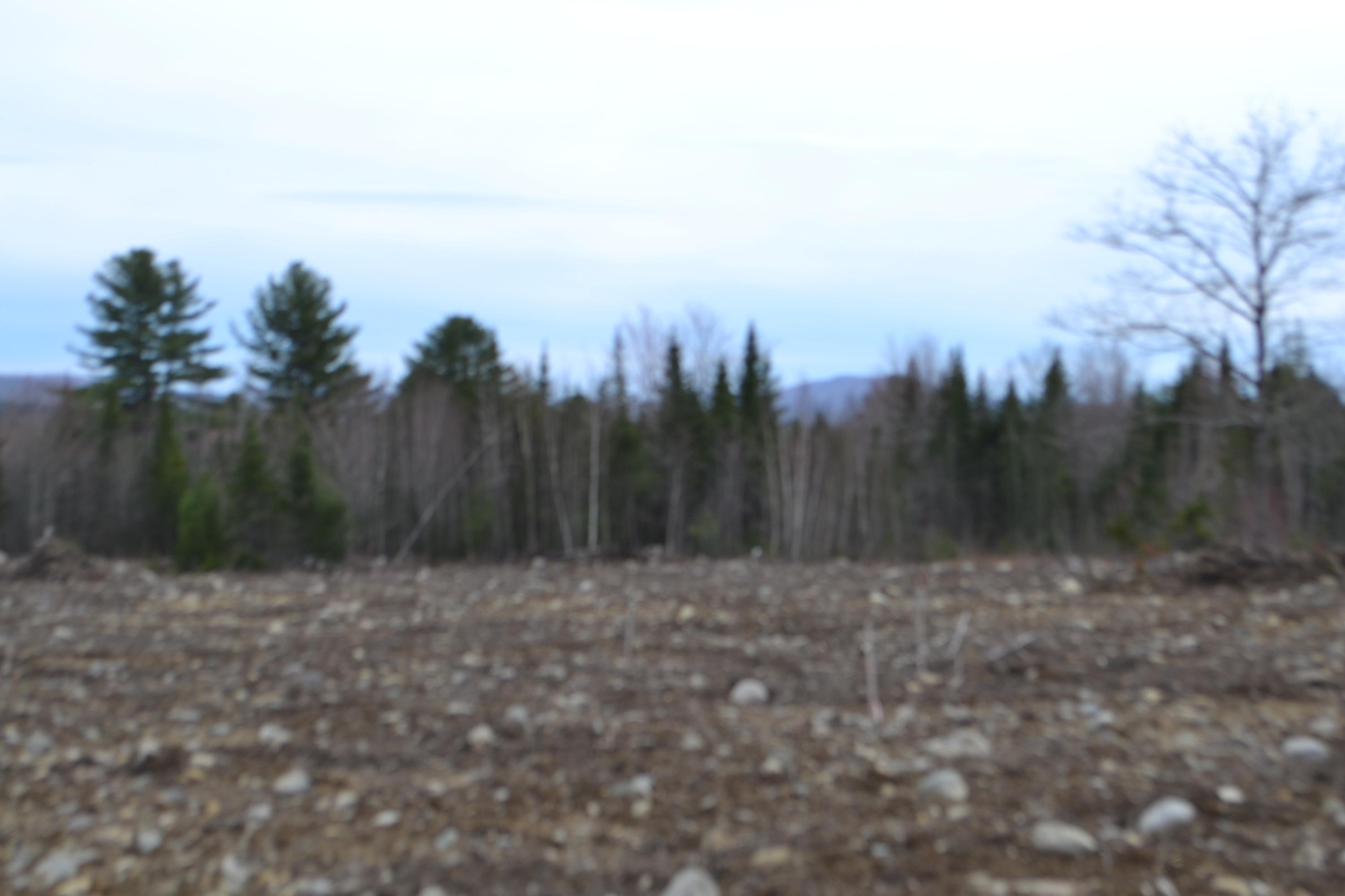 Lot 30-004 Marston Road Etna, ME 04434 - Photo 3 of 6 DSC_1793