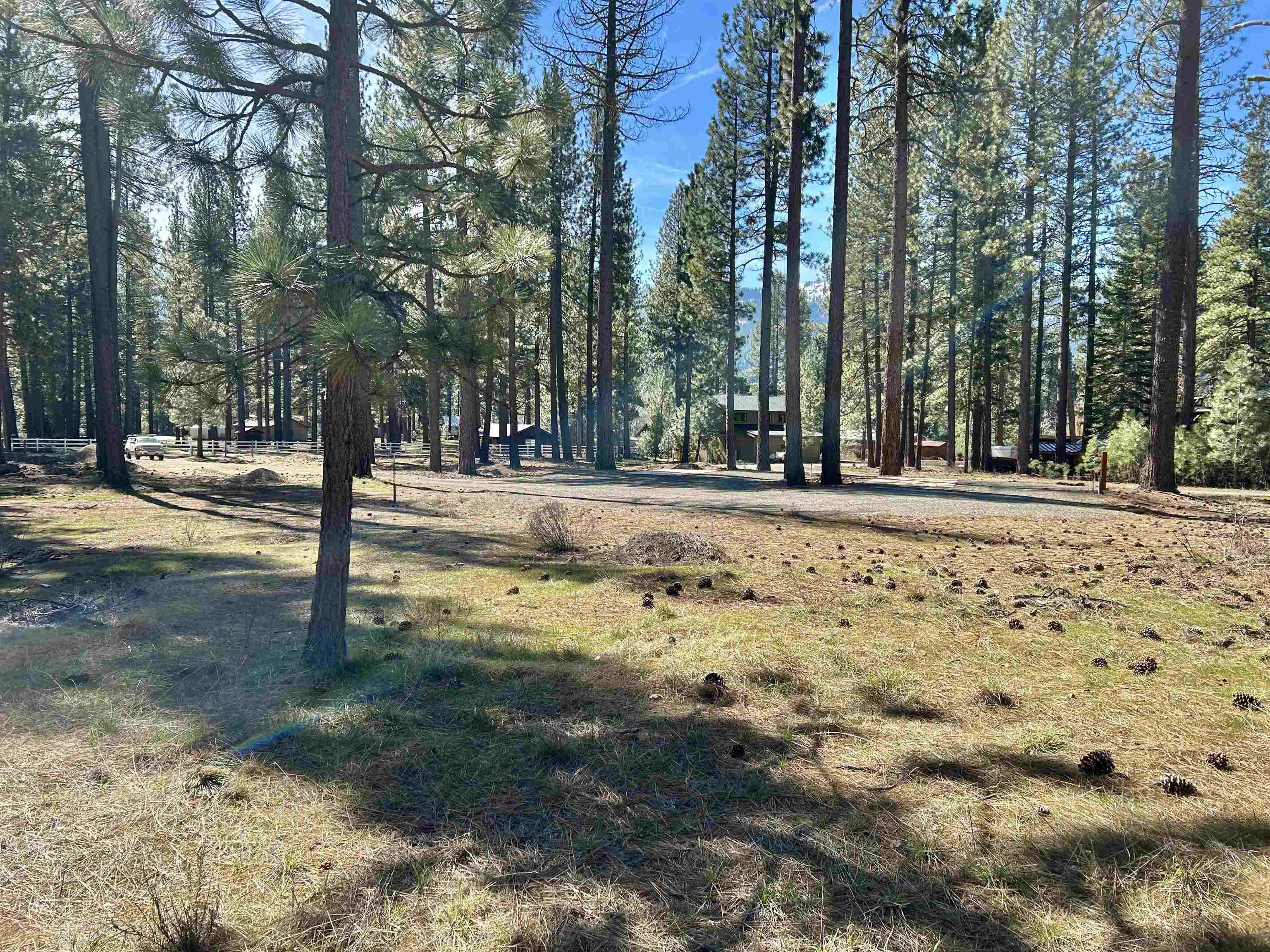 329 Clio State 40A Road Clio, CA 96106 - Photo 10 of 32