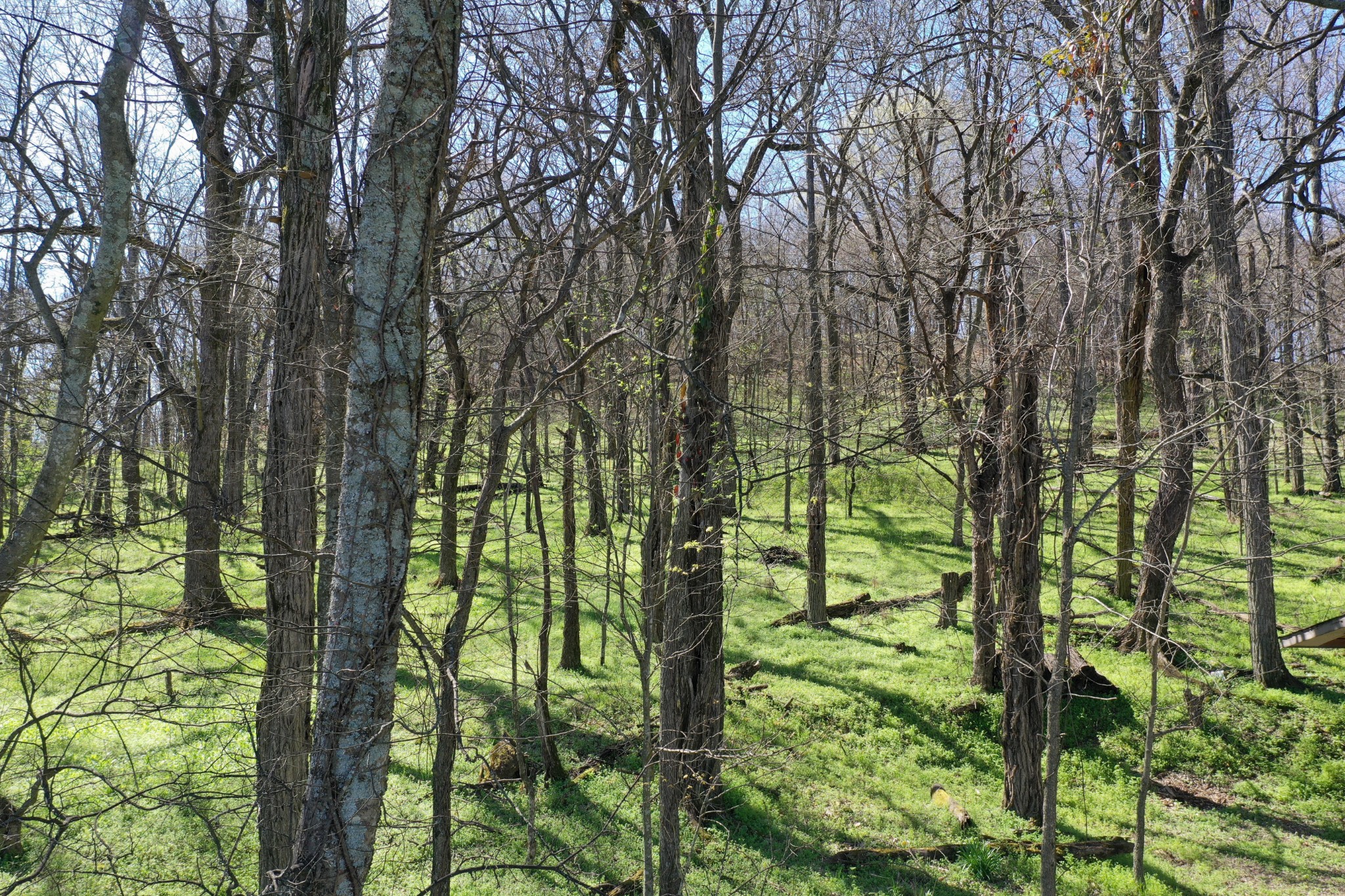 4417 Dugger Road Culleoka, TN 38451 - Photo 39 of 41 Gallery Image 39