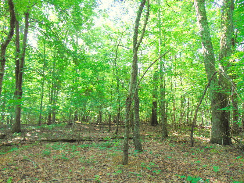 West Ridgecrest Drive Kingston, TN 37763 - Photo 1 of 3 W Ridgecrest Dr