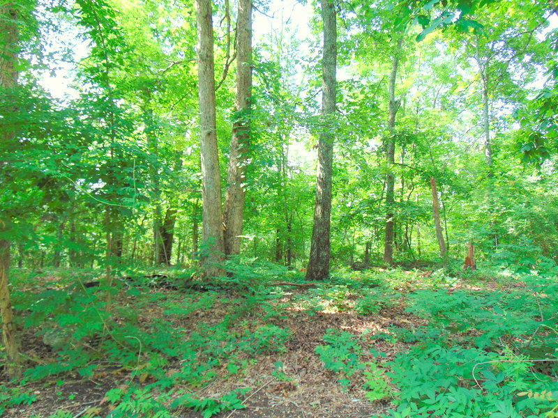West Ridgecrest Drive Kingston, TN 37763 - Photo 2 of 3 DSC03479