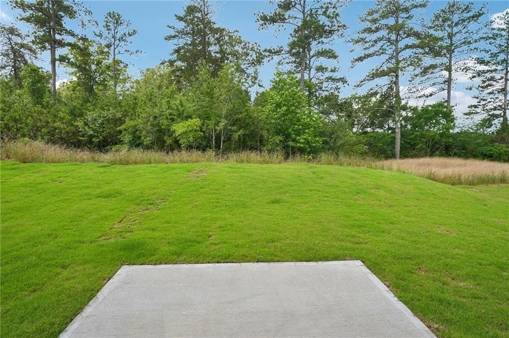 16 Rise Road Adairsville, GA 30103 - Photo 39 of 39