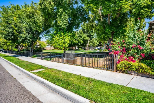 a view of a backyard with a small garden