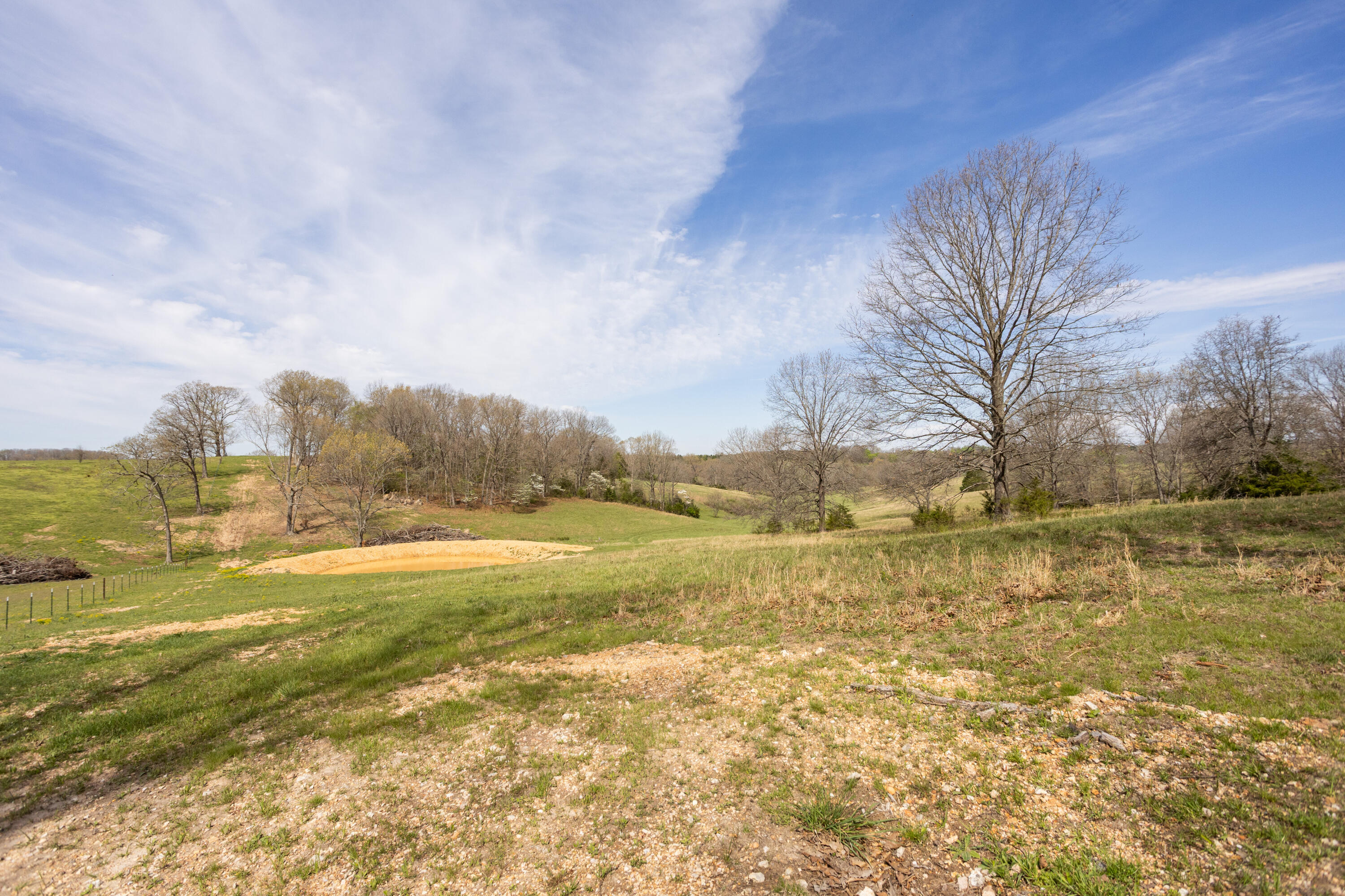 9795 Co Road Ava, MO 65608 - Photo 61 of 93 Douglas198(MLSRES)-43