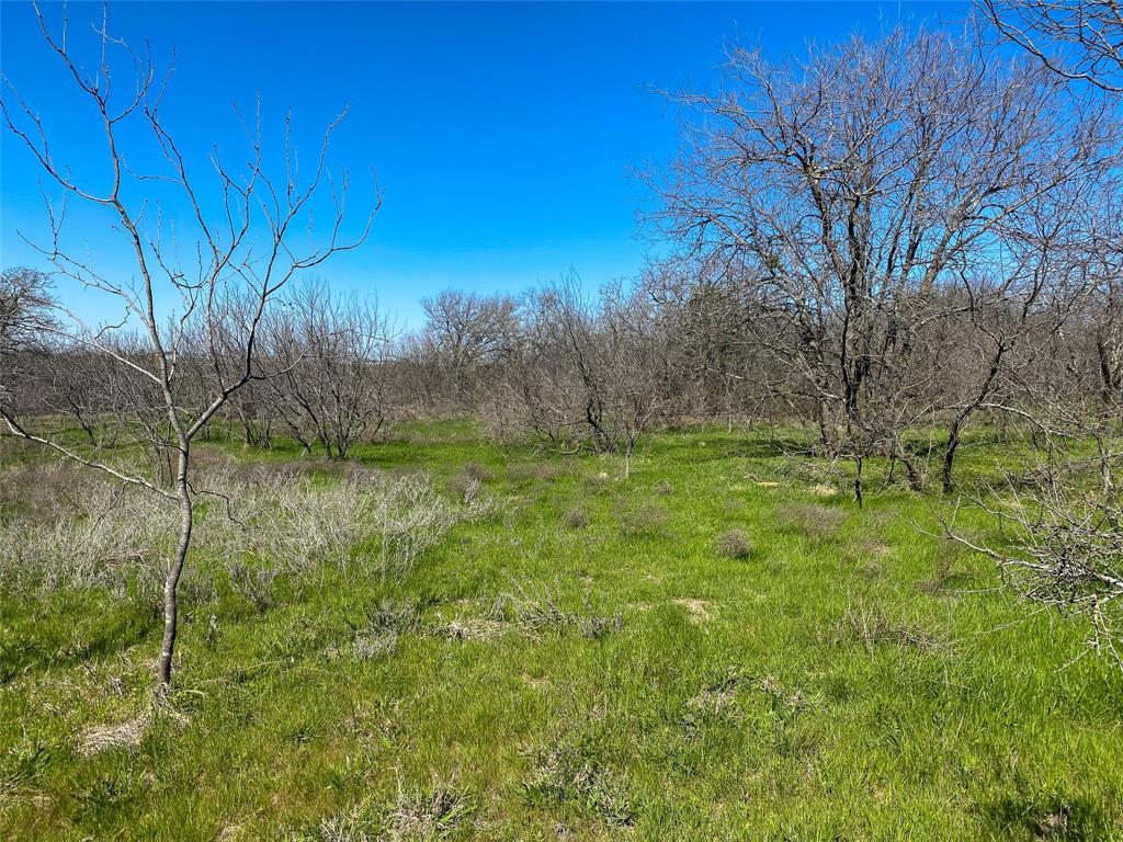 1700 Don Lee Road Joshua, TX 76058 - Photo 18 of 33