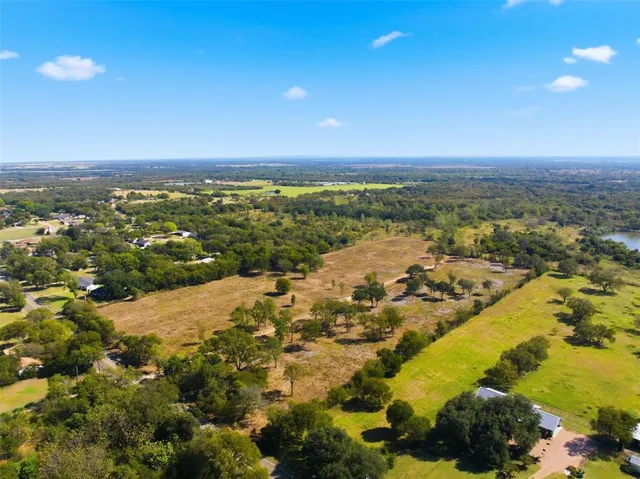 a view of a yard with palm trees
