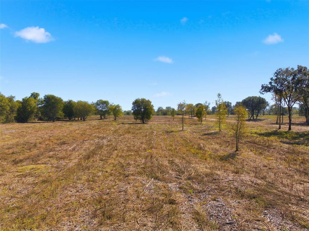 3601 Kendall Lane Waco, TX 76705 - Photo 7 of 15 a view of a yard with palm trees
