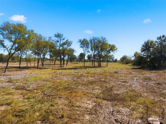 a view of a field with trees in the background