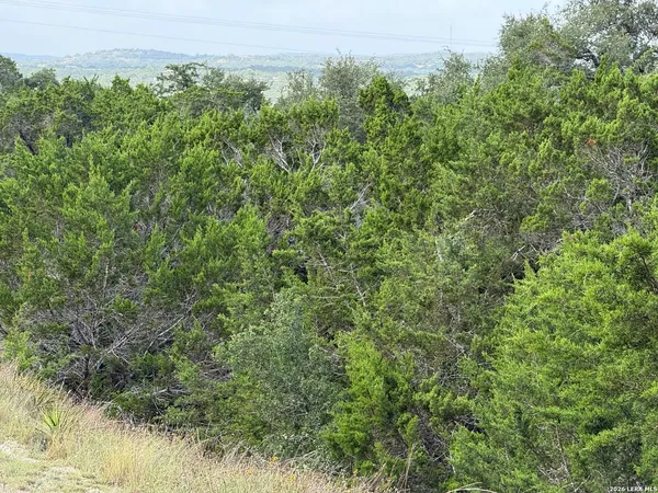 $74,500 | 155 Lipizzan Lane, Spring Branch, TX 78070