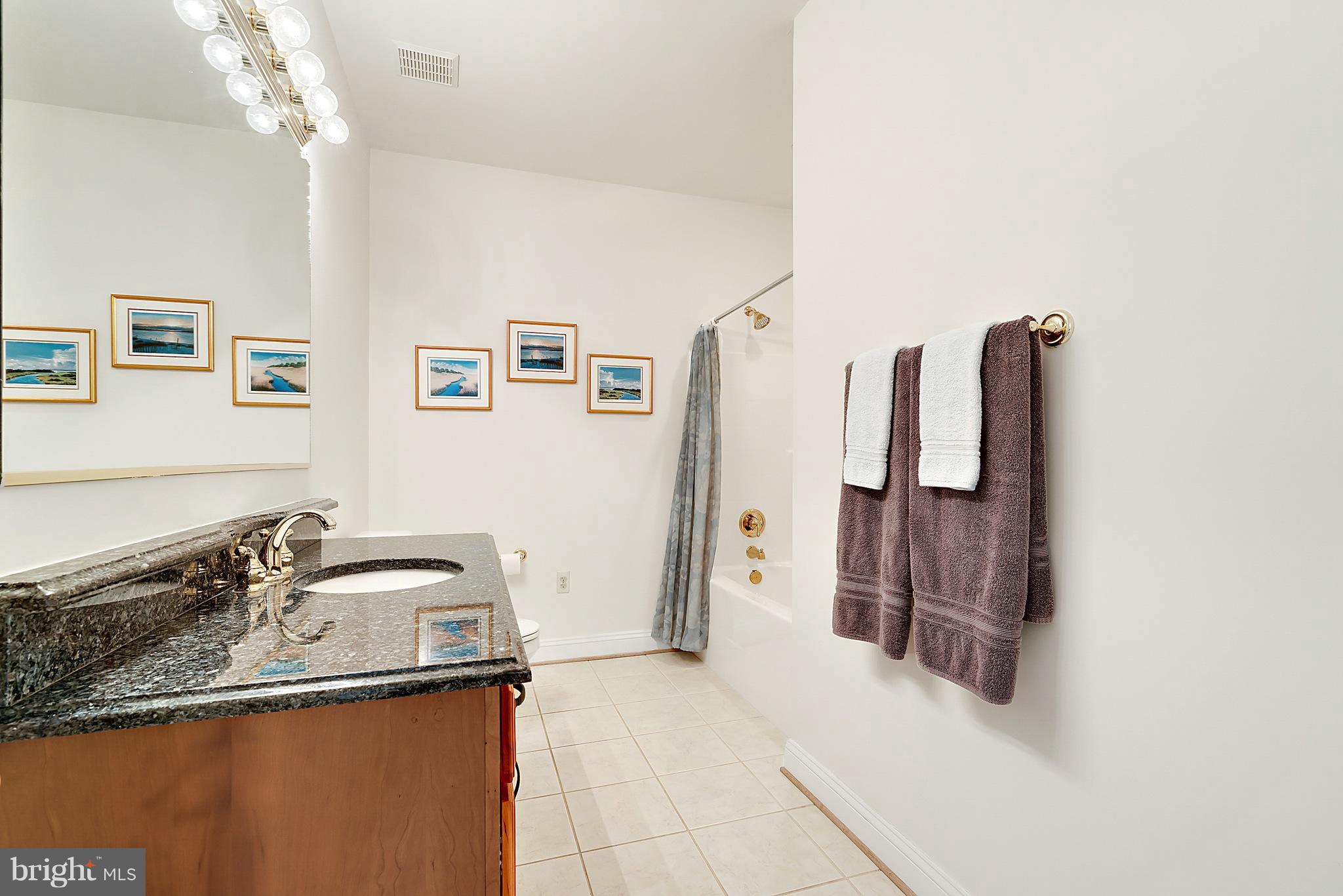 15691 Gibson Mill Road Culpeper, VA 22701 - Photo 21 of 30 Separate full hall bath