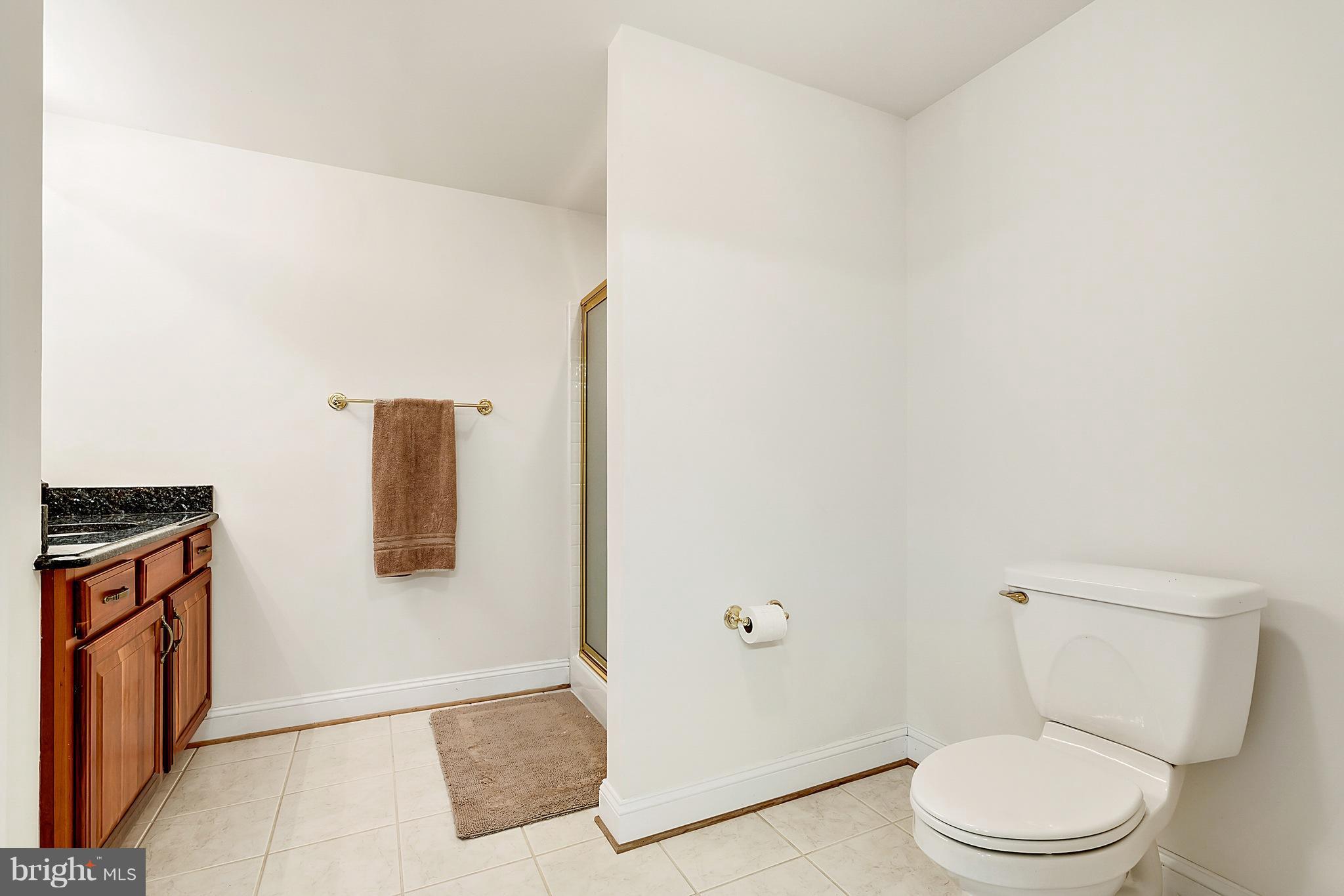 15691 Gibson Mill Road Culpeper, VA 22701 - Photo 23 of 30 Full bath in basement