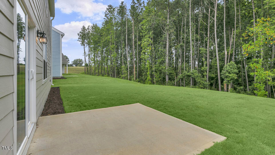 818 Comice Pear Way Willow Spring, NC 27592 - Photo 41 of 44 a view of a back yard