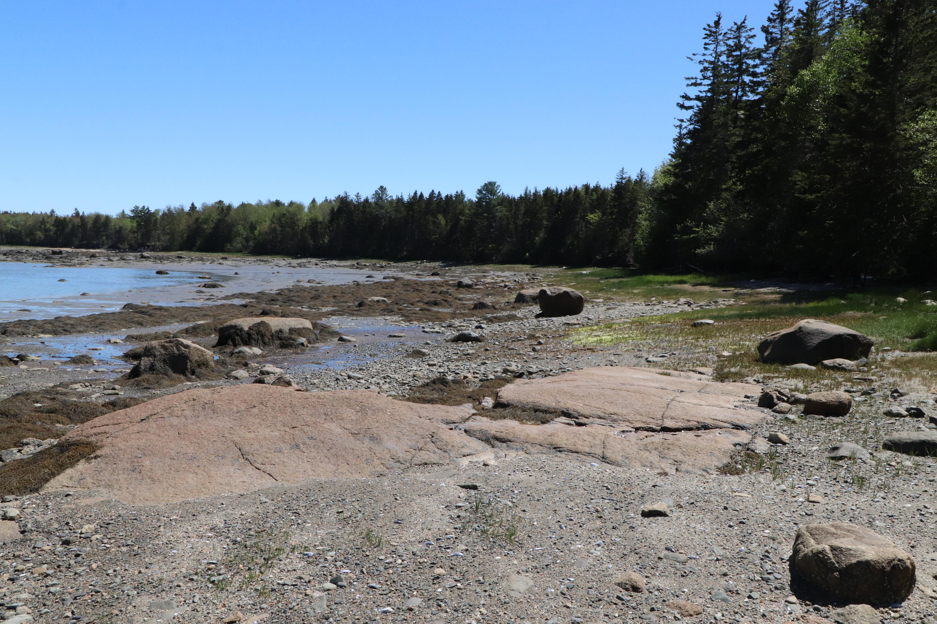 0 Naskeag Point Road Brooklin, ME 04616 - Photo 25 of 34 Photo May 31, 2 16 20 PM