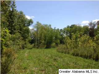25 Rd Vincent Al Vincent, AL 35178 - Photo 11 of 22