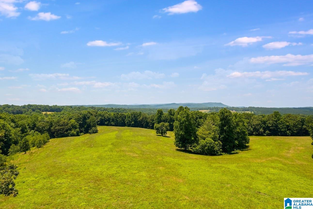 14791 County Road 10, Unit 45 ACRES Ranburne, AL 36273 - Photo 4 of 43
