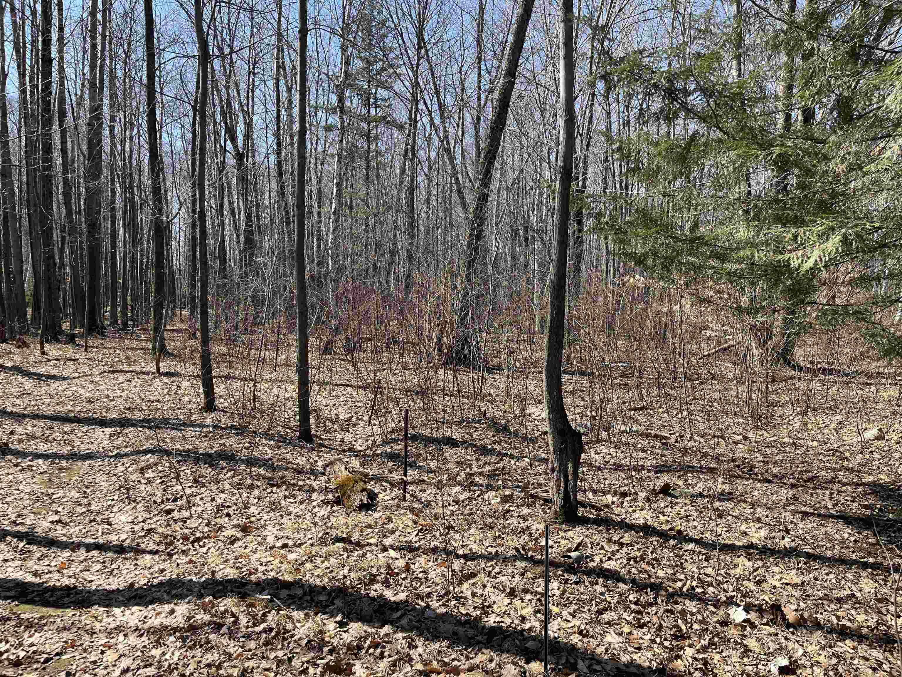 Lils Lane, Unit 2 Abrams, WI 54101 - Photo 11 of 22