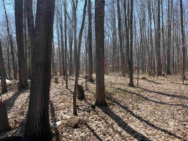 $59,900 | Lils Lane, Unit 2, Abrams, WI 54101