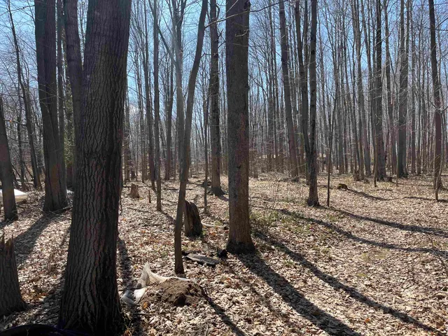 $59,900 | Lils Lane, Unit 2, Abrams, WI 54101