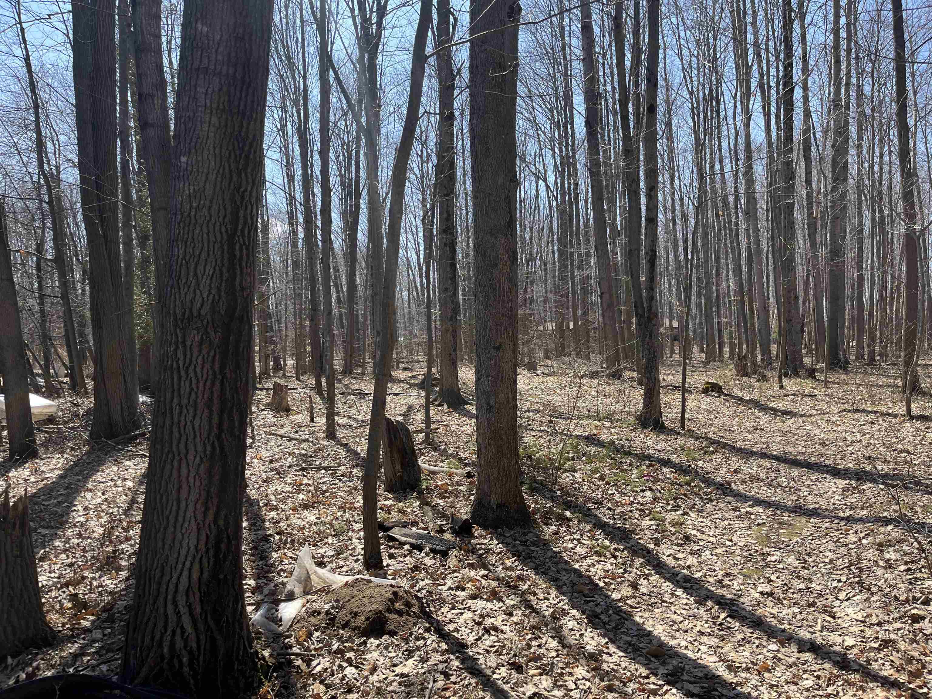 Lils Lane, Unit 2 Abrams, WI 54101 - Photo 12 of 22