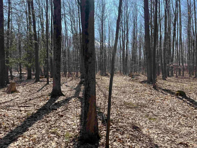 $59,900 | Lils Lane, Unit 2, Abrams, WI 54101