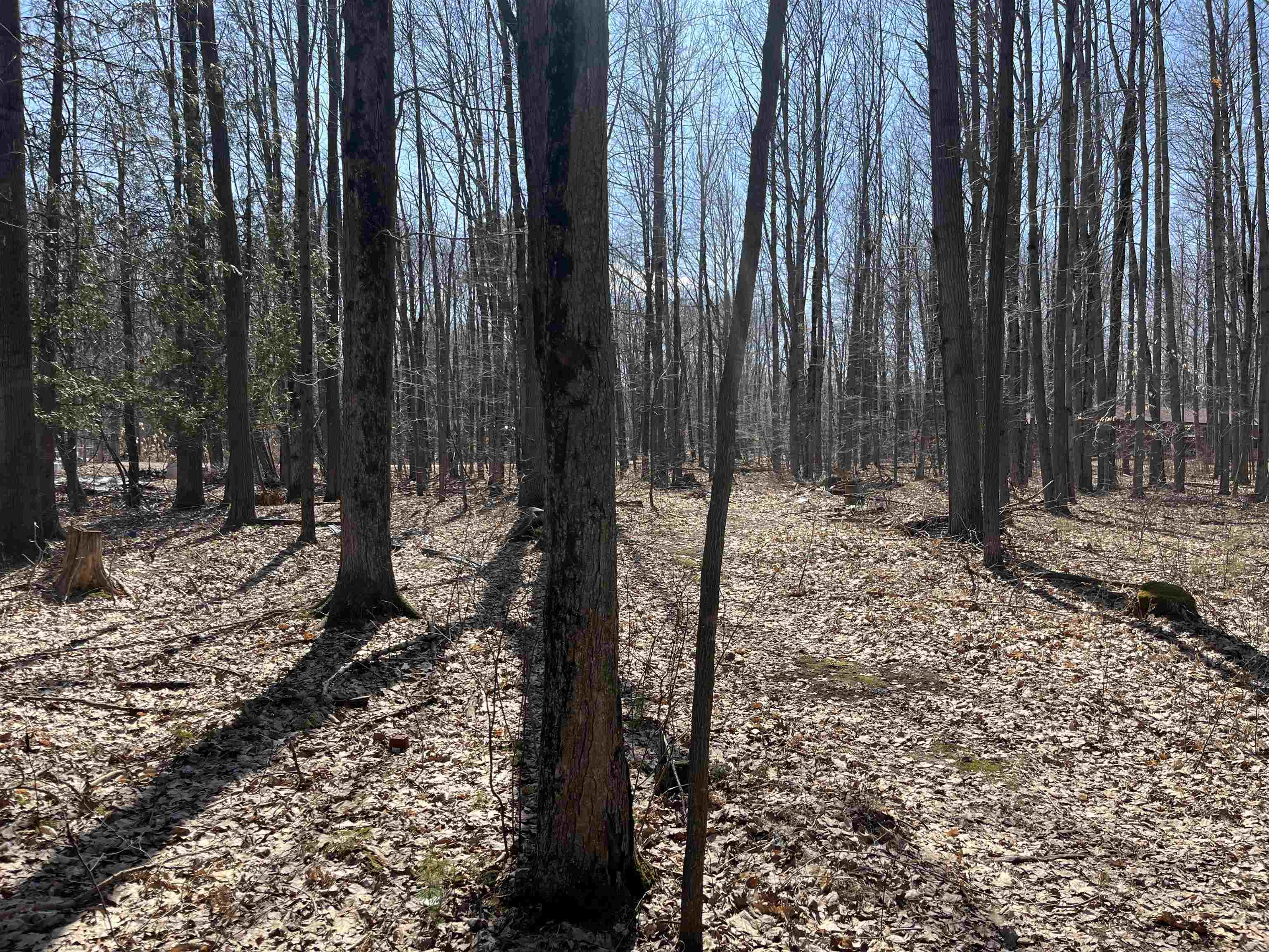 Lils Lane, Unit 2 Abrams, WI 54101 - Photo 13 of 22