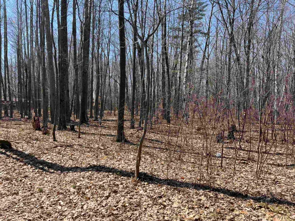 $59,900 | Lils Lane, Unit 2, Abrams, WI 54101