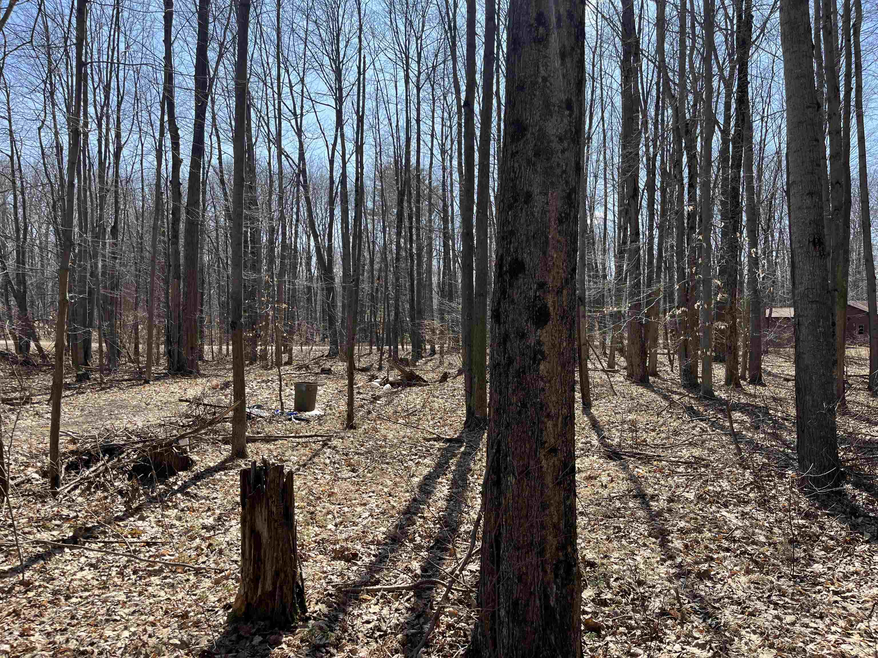 Lils Lane, Unit 2 Abrams, WI 54101 - Photo 16 of 22