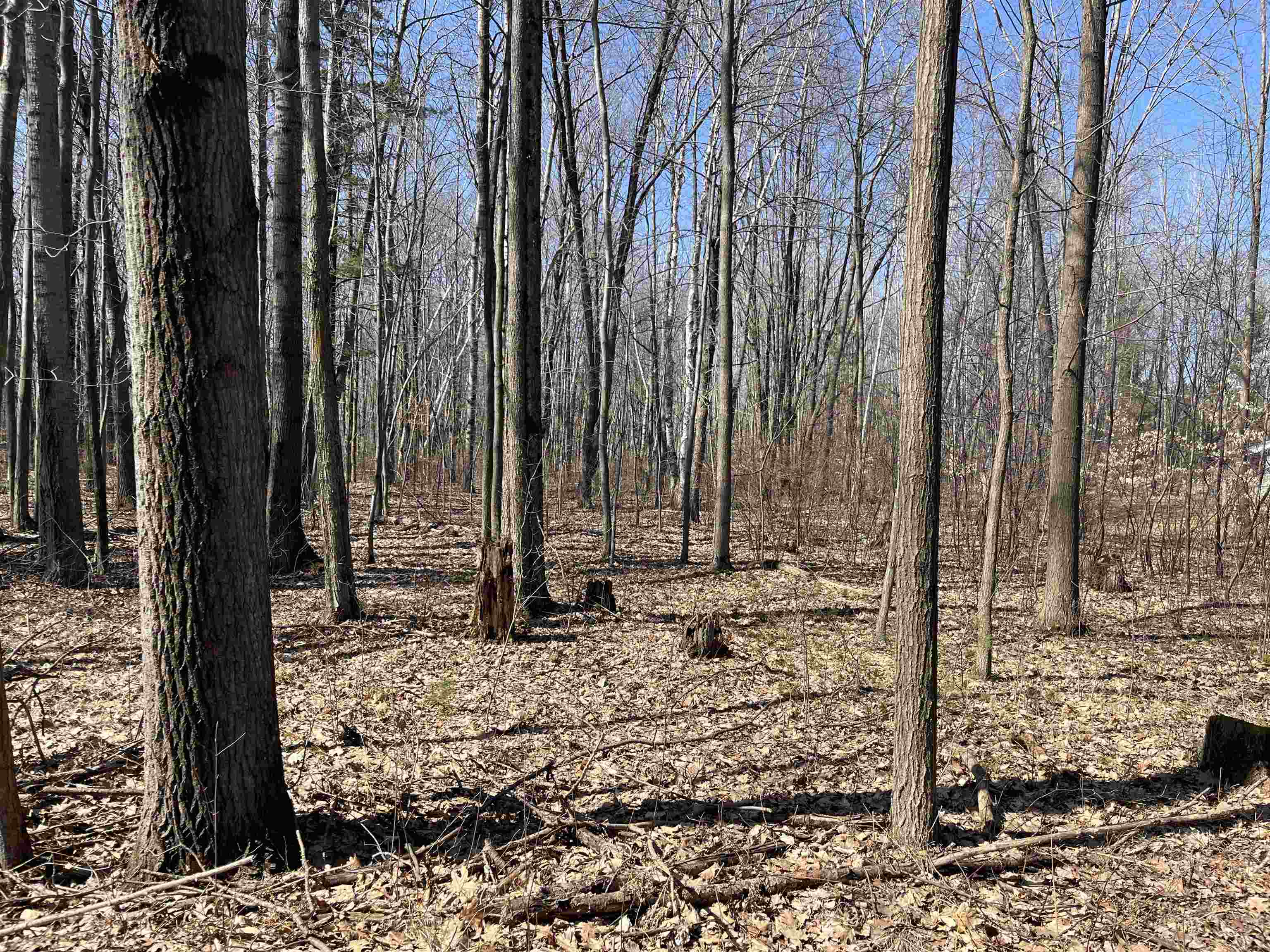 Lils Lane, Unit 2 Abrams, WI 54101 - Photo 17 of 22