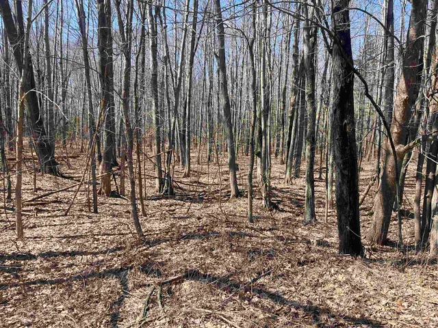 $59,900 | Lils Lane, Unit 2, Abrams, WI 54101