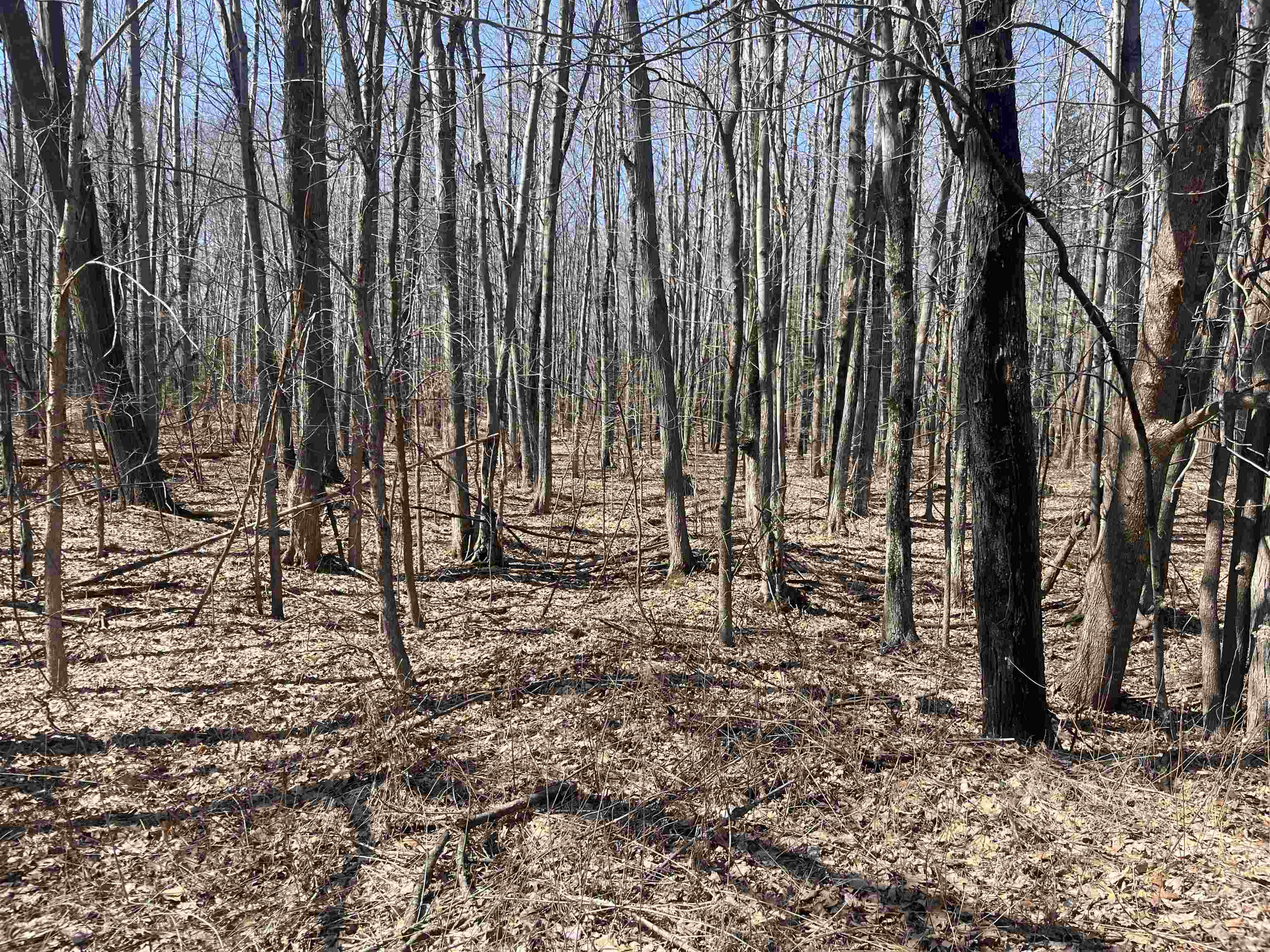 Lils Lane, Unit 2 Abrams, WI 54101 - Photo 18 of 22