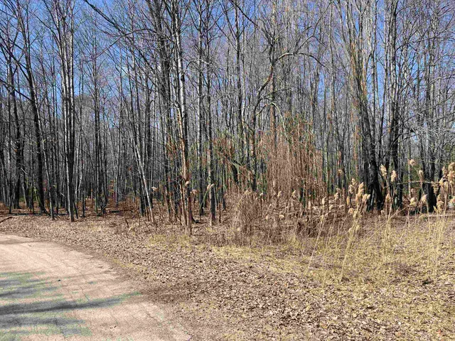 $59,900 | Lils Lane, Unit 2, Abrams, WI 54101