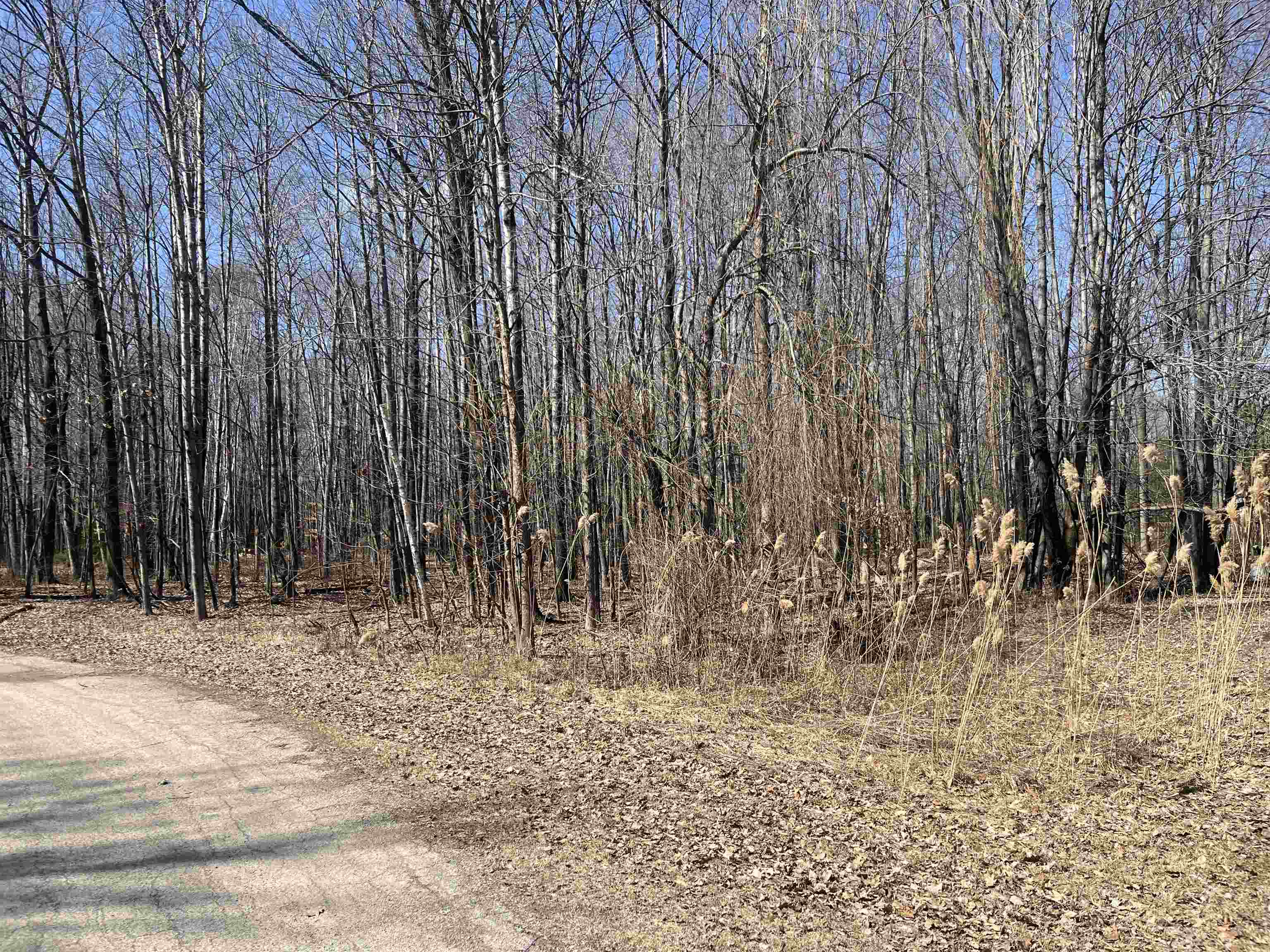 Lils Lane, Unit 2 Abrams, WI 54101 - Photo 19 of 22