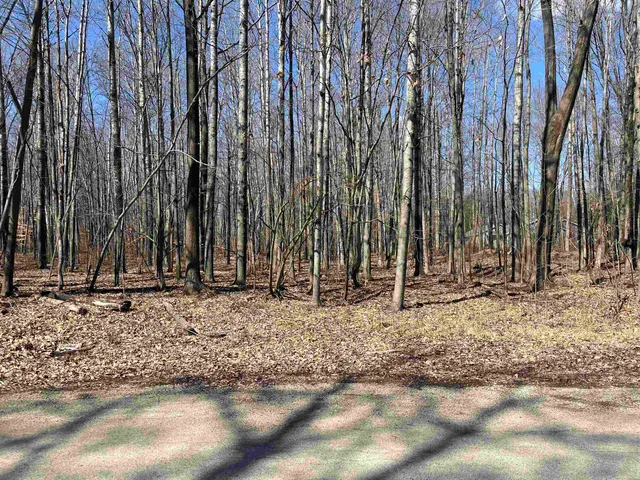 $59,900 | Lils Lane, Unit 2, Abrams, WI 54101