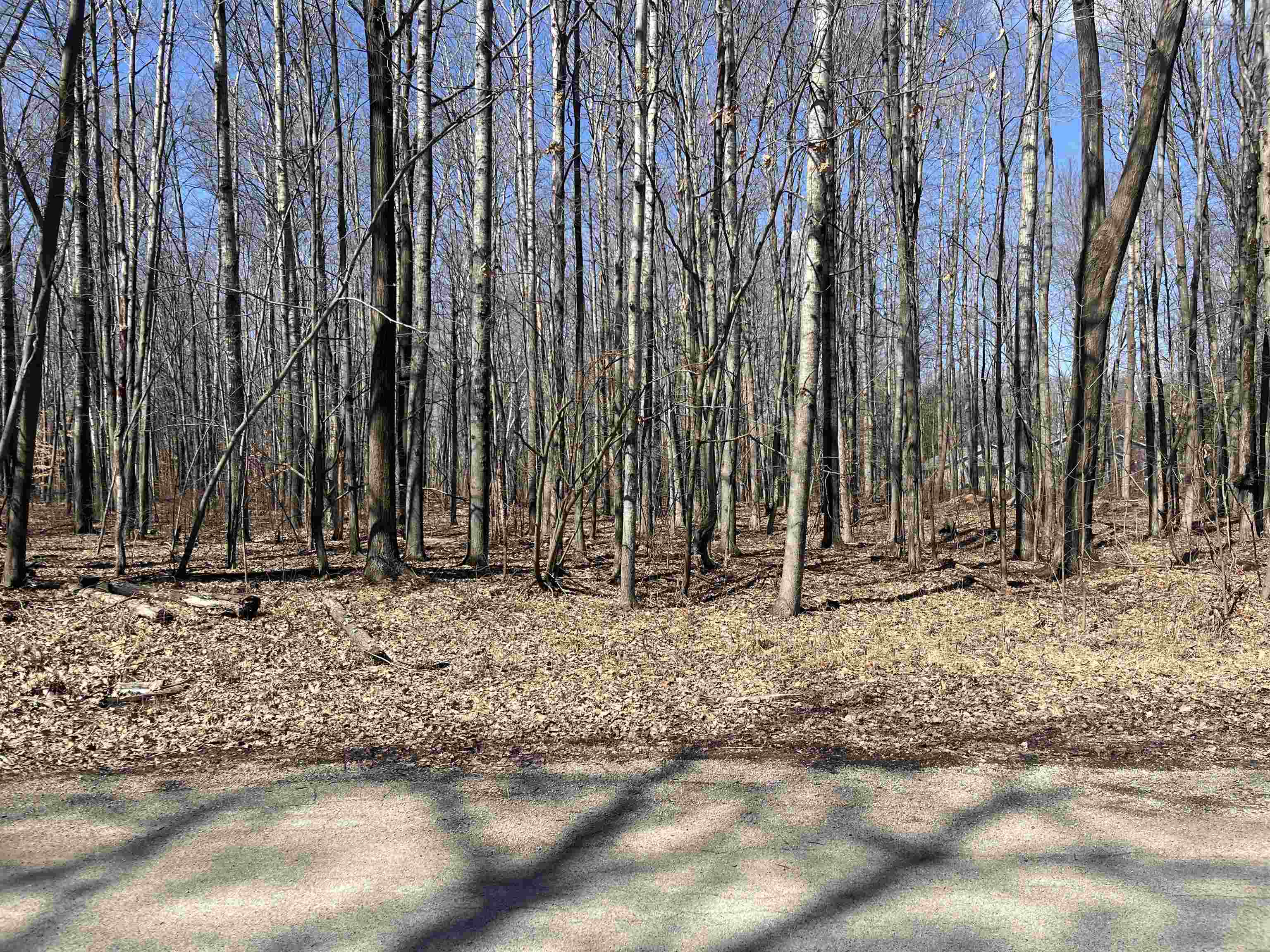 Lils Lane, Unit 2 Abrams, WI 54101 - Photo 21 of 22