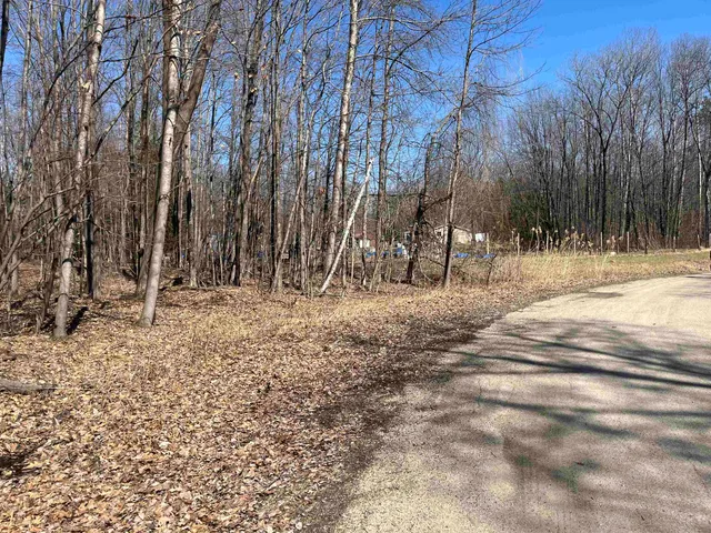 $59,900 | Lils Lane, Unit 2, Abrams, WI 54101