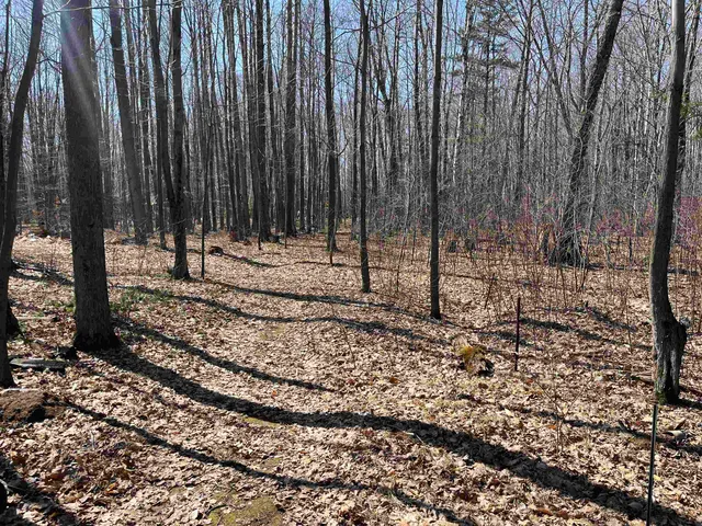 $59,900 | Lils Lane, Unit 2, Abrams, WI 54101