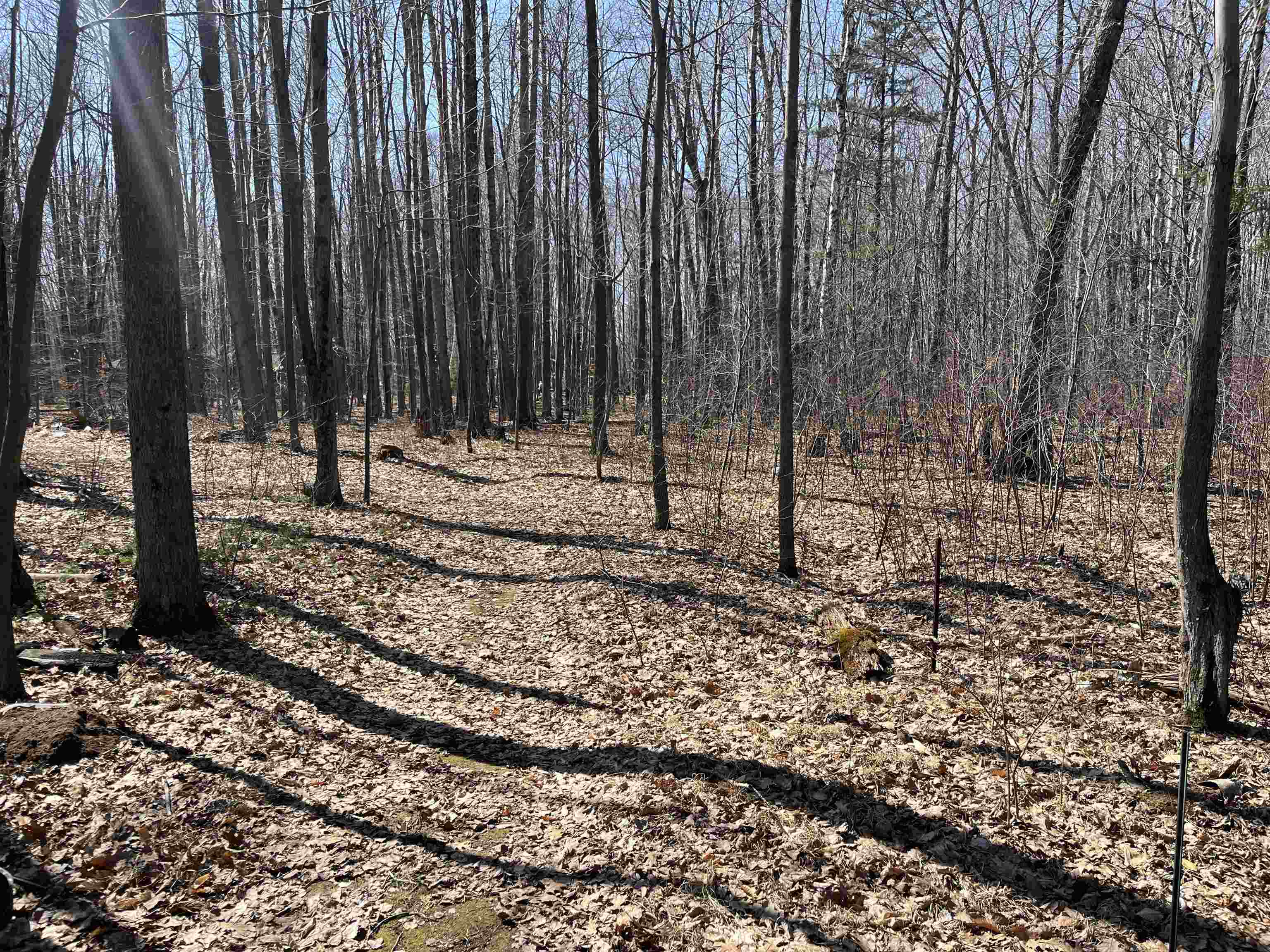 Lils Lane, Unit 2 Abrams, WI 54101 - Photo 10 of 22