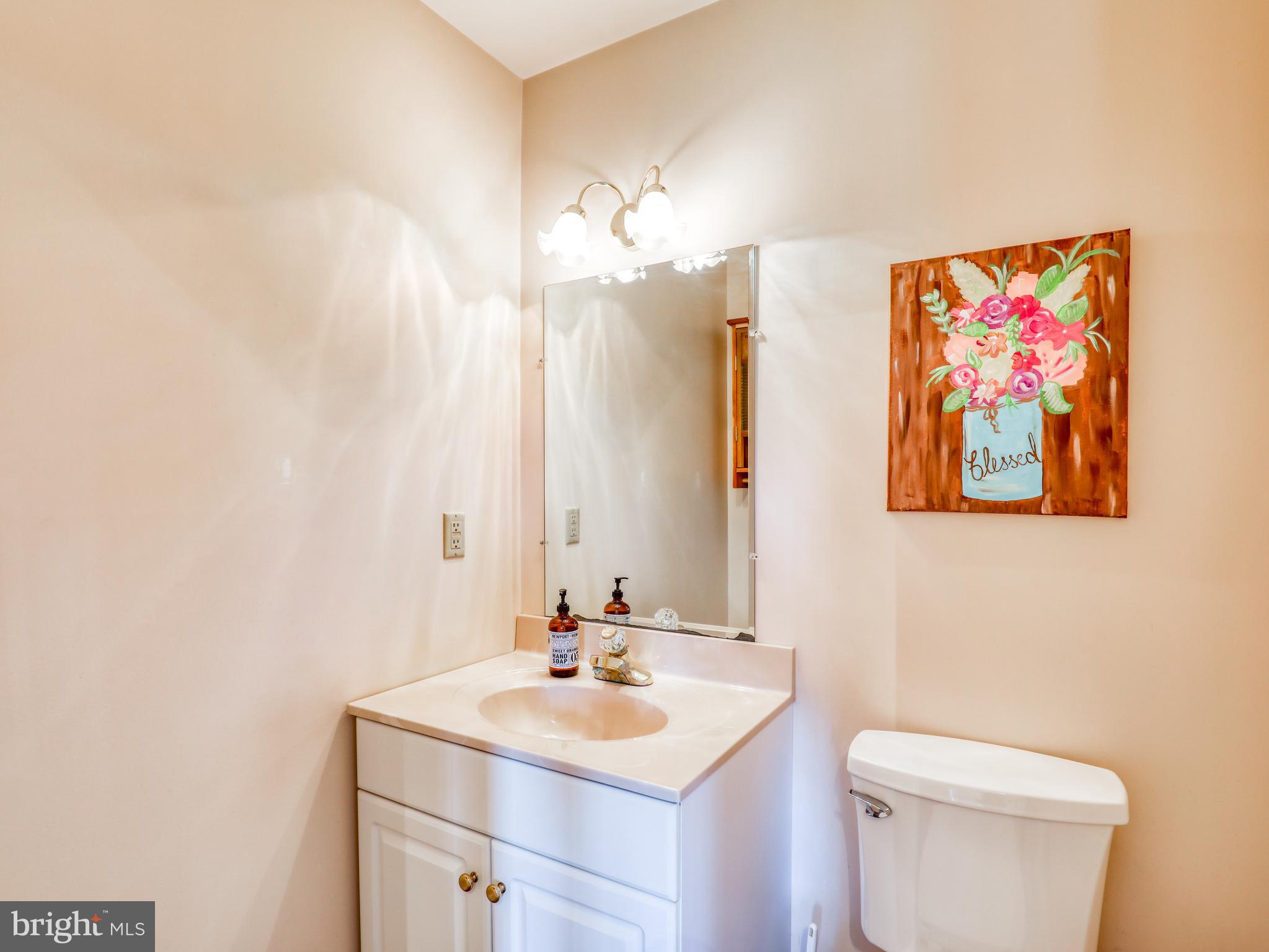 3615 Apple Pie Ridge Road Winchester, VA 22603 - Photo 26 of 47 1/2 bath