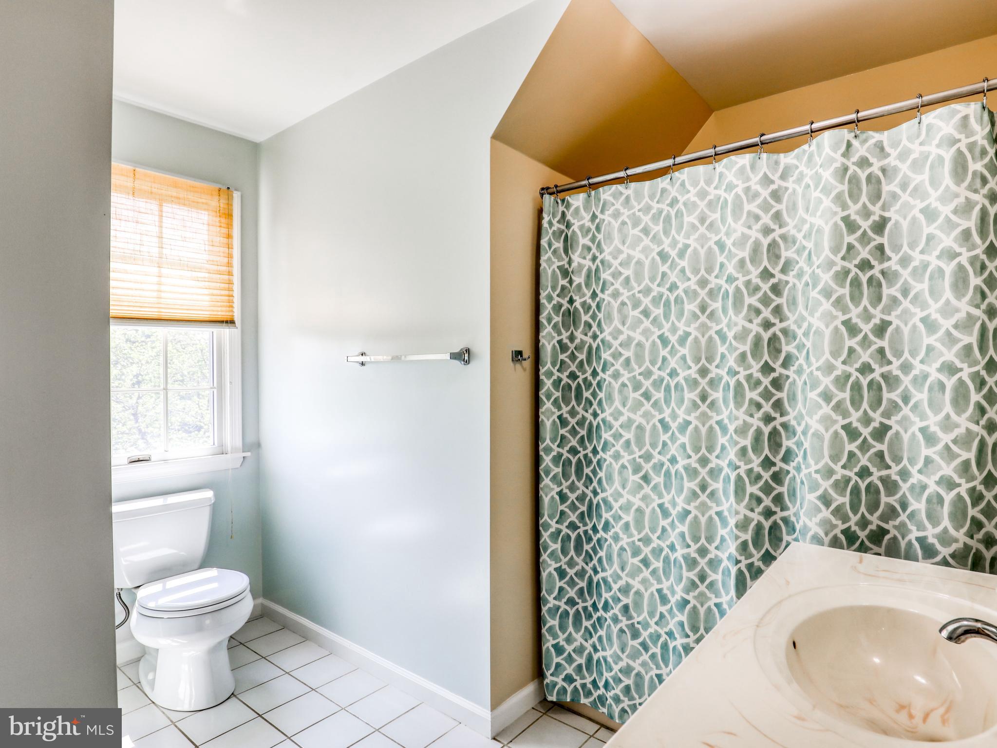 3615 Apple Pie Ridge Road Winchester, VA 22603 - Photo 39 of 47 Full bath between the 2 bedrooms on upper level