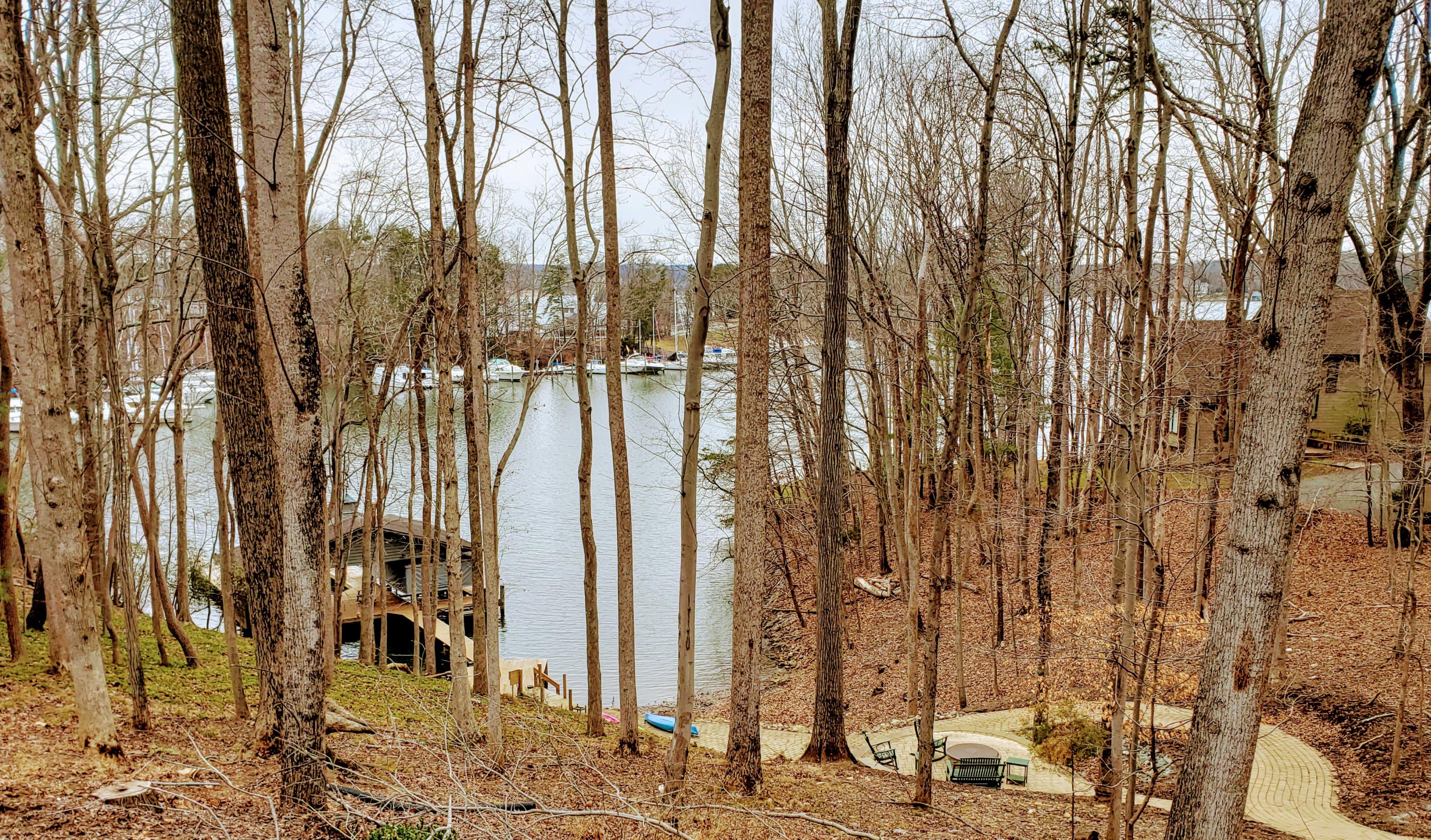 3345 Dillards Hill Road Union Hall, VA 24176 - Photo 2 of 2 Lake