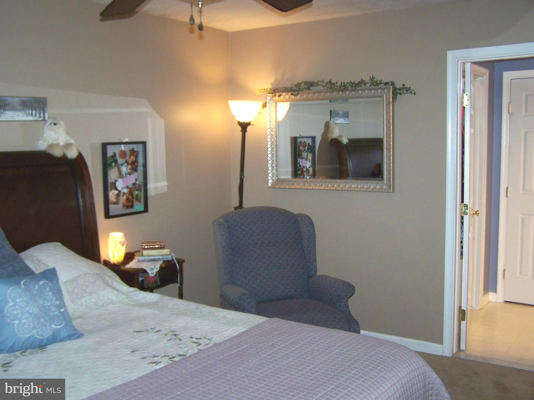 9229 Bretton Reef Road Baltimore, MD 21234 - Photo 14 of 30 Bath (Master)