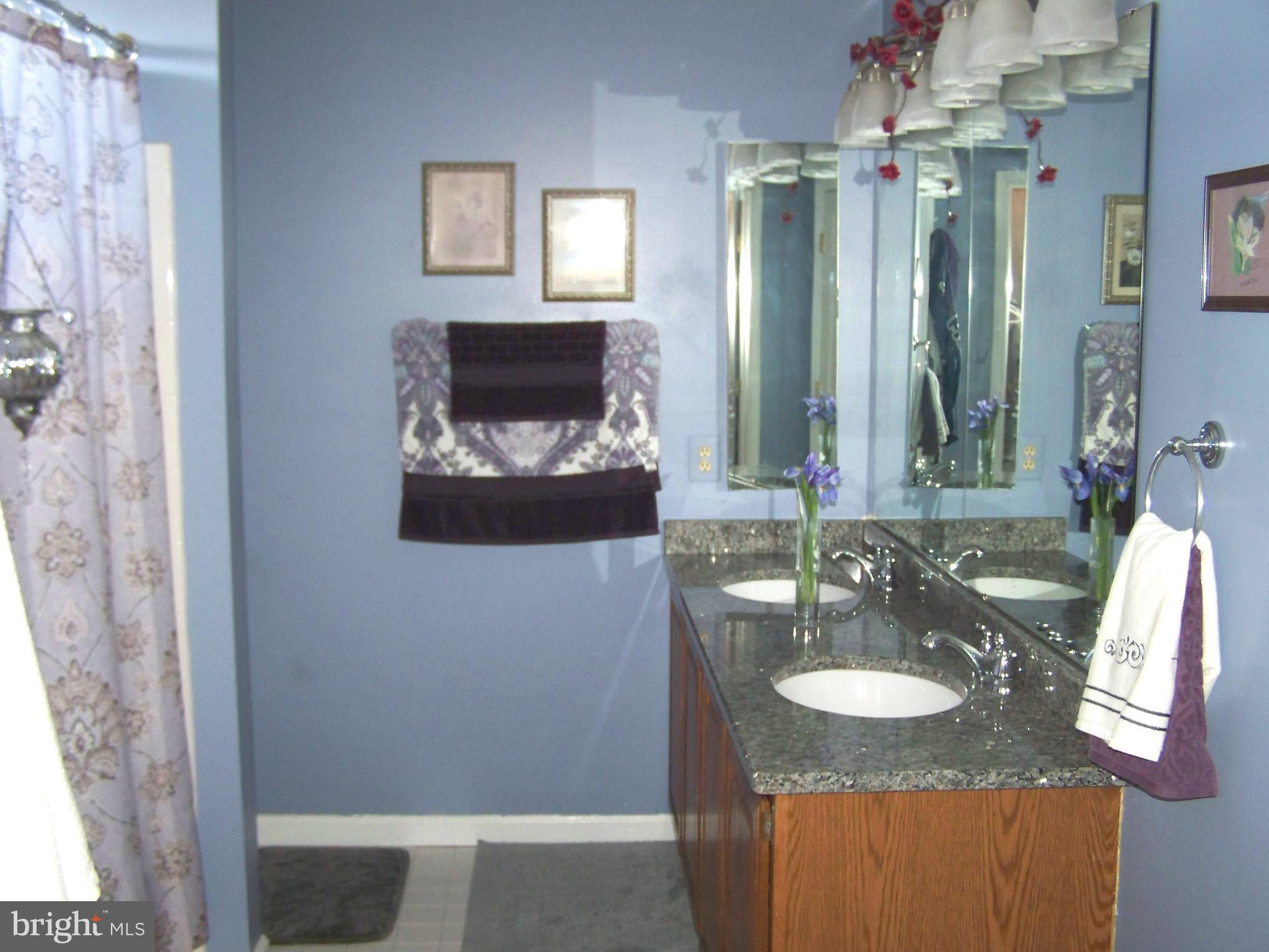 9229 Bretton Reef Road Baltimore, MD 21234 - Photo 15 of 30 His n Hers Granite Vanity